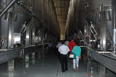 武威 中國葡萄酒旅游新領(lǐng)地的崛起與機遇