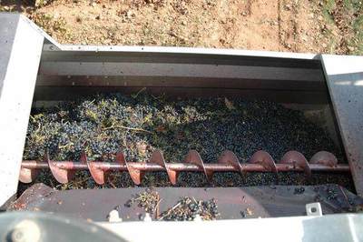 紅酒與葡萄酒 名稱的由來與工藝的區(qū)別